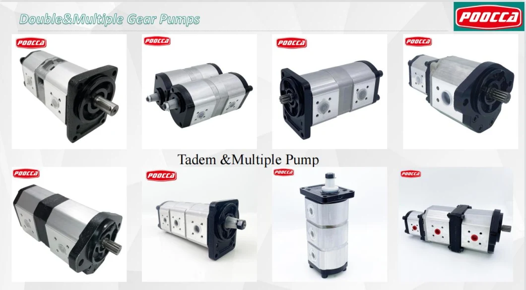 Tandem Pump Marzocchi Ghpp2-D-40+Ghpa2-D-40 Alp1 Alp2 Alp3 Ghp1 Ghp2 Ghp3 Gear Pump