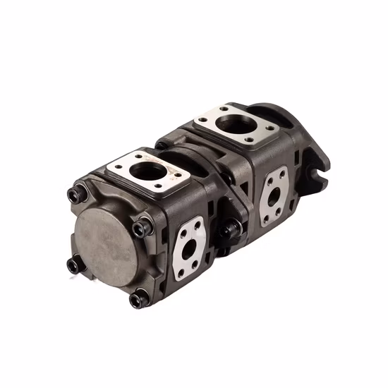 플라스틱 사출 성형기용 내부 기어 펌프